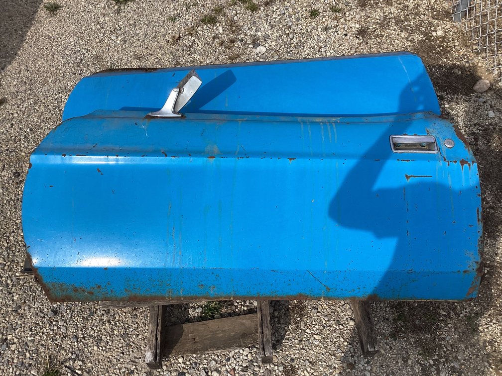 Mustang doors