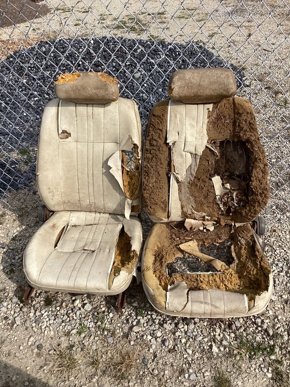 Volkswagen seats