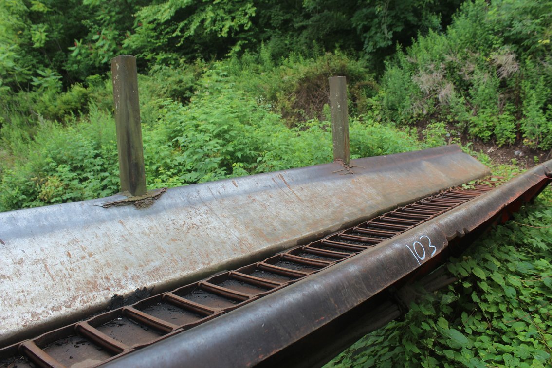 18' Debarker Infeed Log Trough