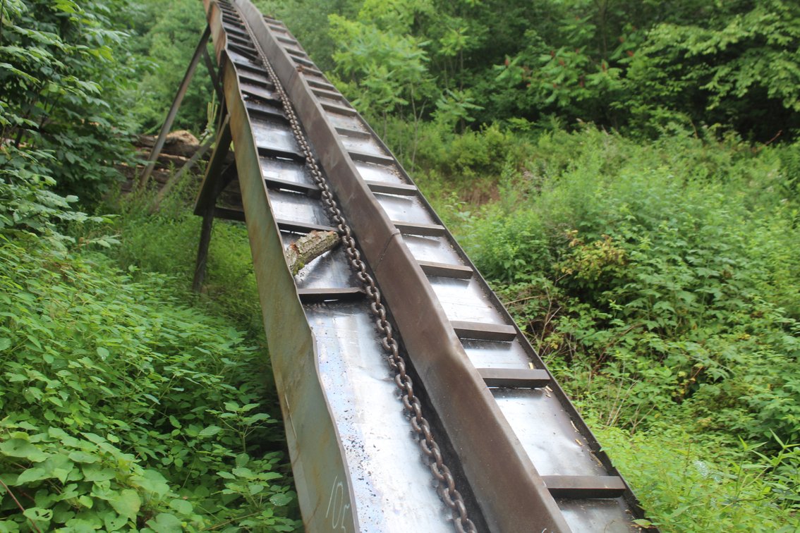 Cornell 50' Barnsweep Conveyor