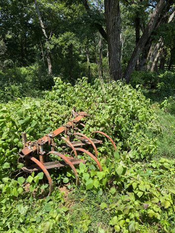 Image for Allis-Chalmers 16ft Field Cultivator