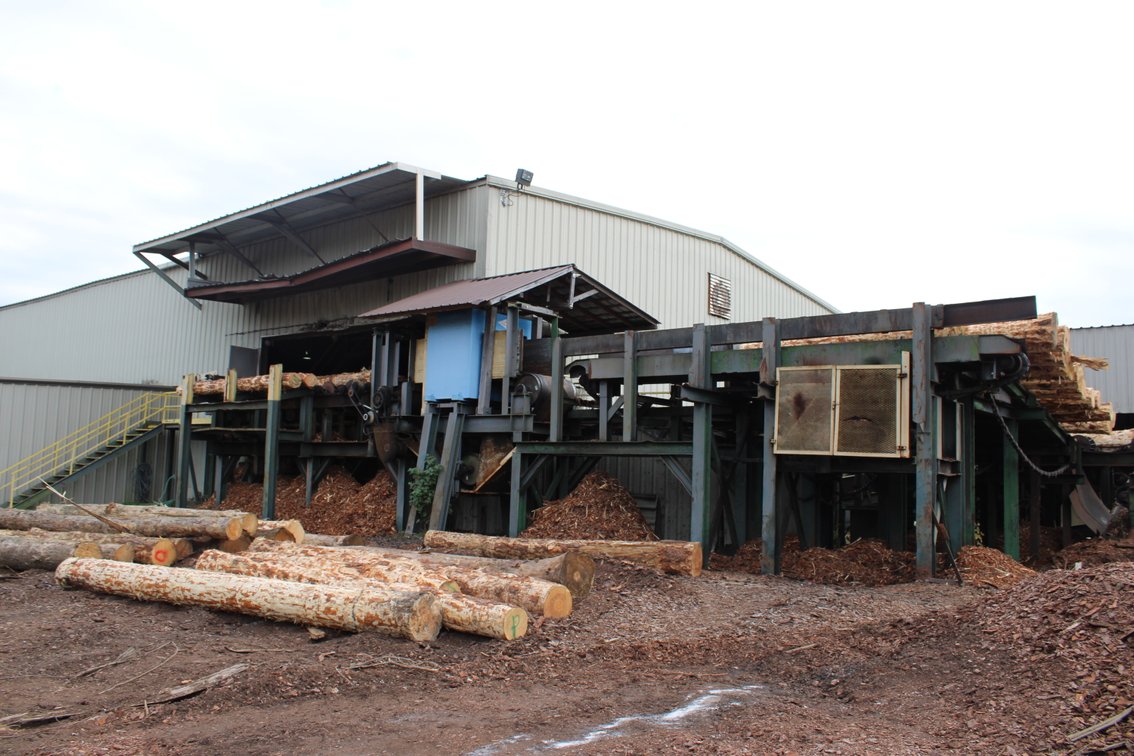Image for Complete Operation of FL Turlington Lumber Company