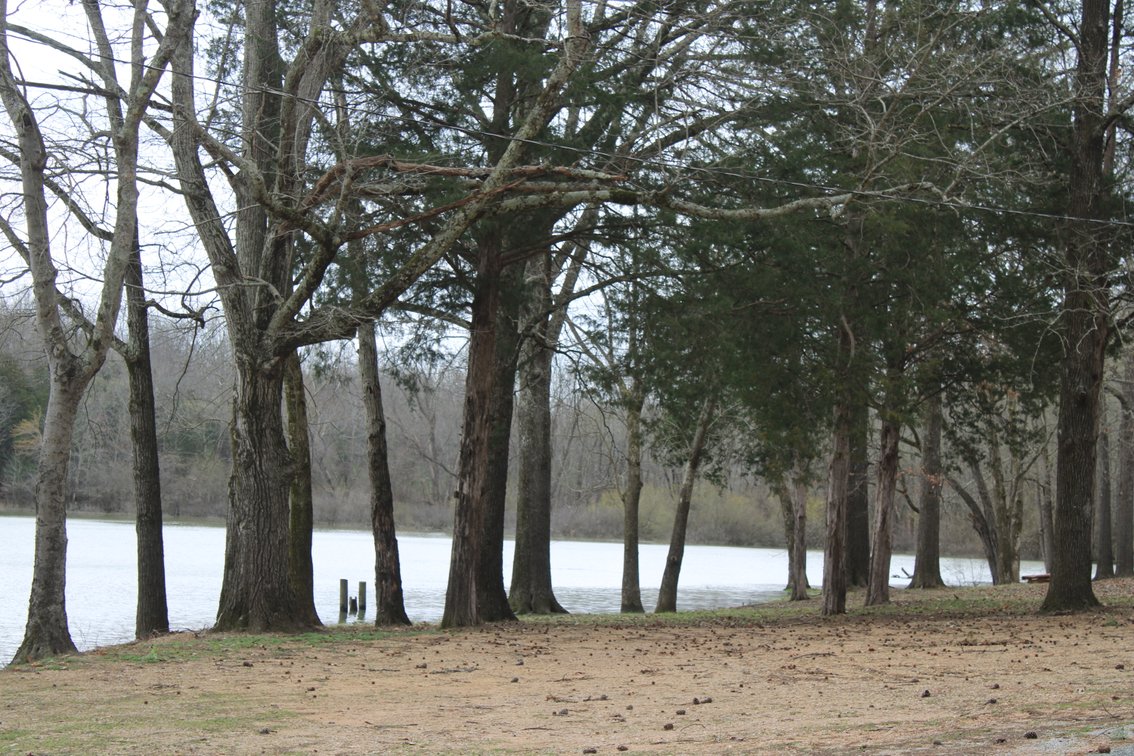 Image for 628 Cypress Creek Marina Road