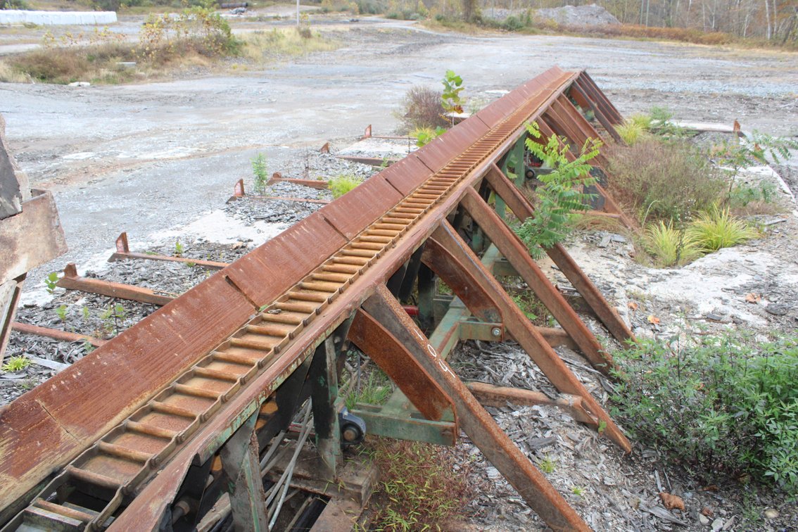 60' Log Sorting System