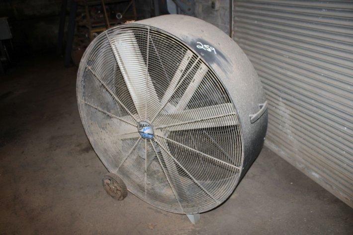 Image for 48