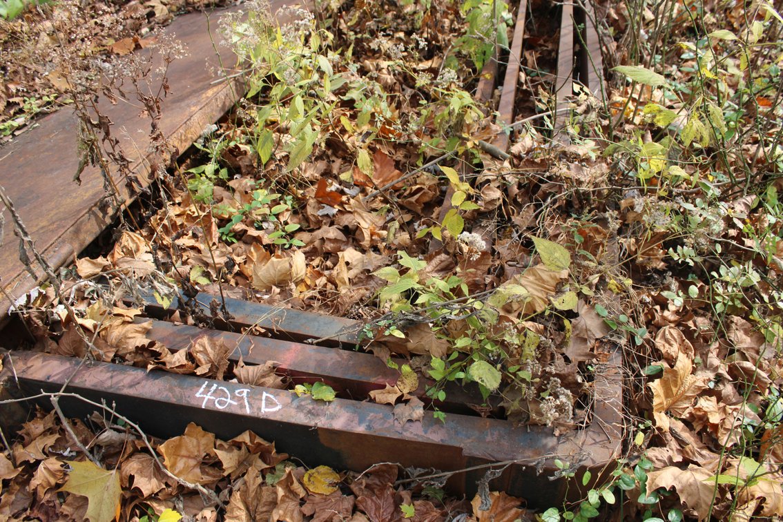 (2) Sets of 8' forks