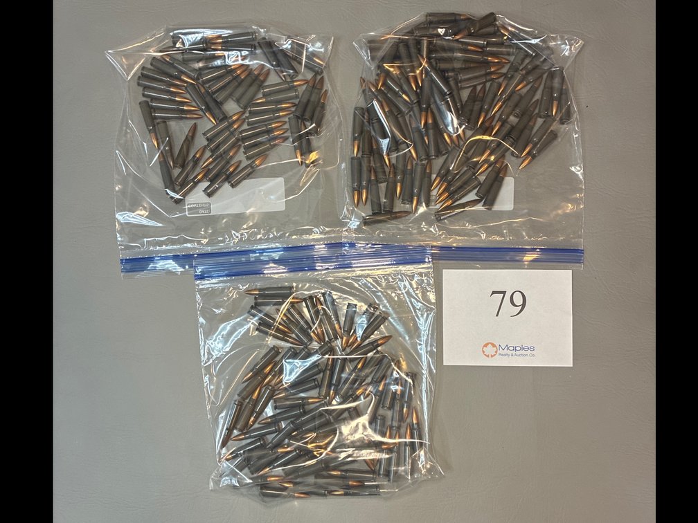7.62 Ammo 3 Bags 