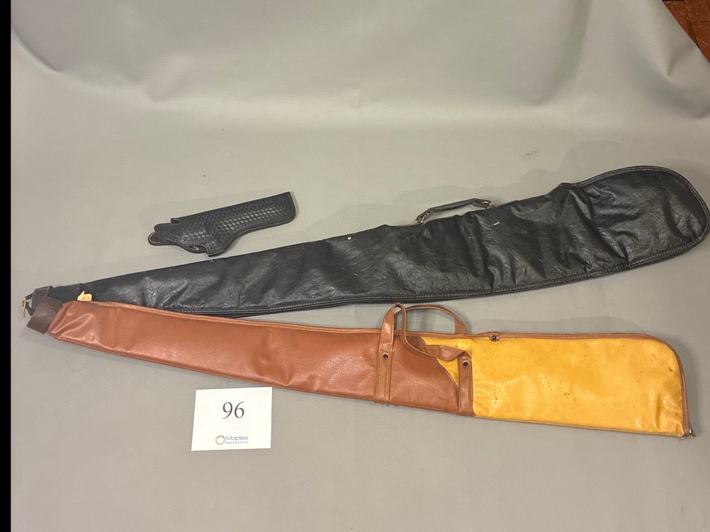 Gun Cases and Holster 