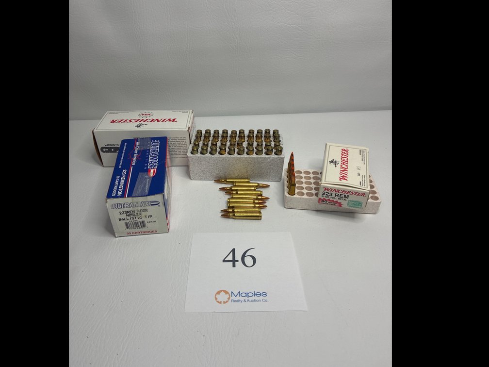 54 Rounds .223 (5 Ballistic Tip)