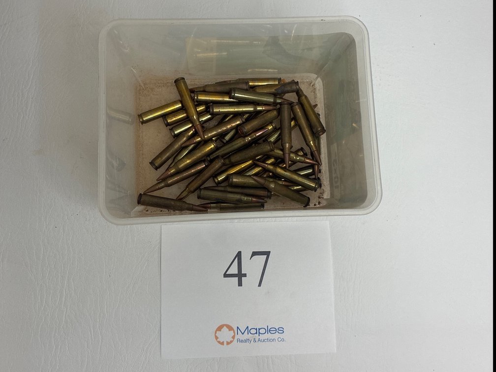 40 Rounds .223