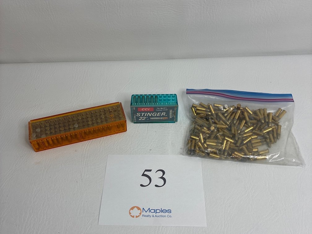 Variety of .22 Long and Short