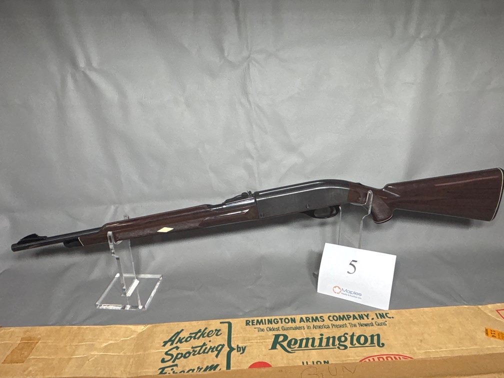 Remington Nylon 66 22LR