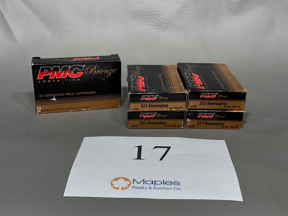 100x Rounds .223 Remington 55 Grain FMJ