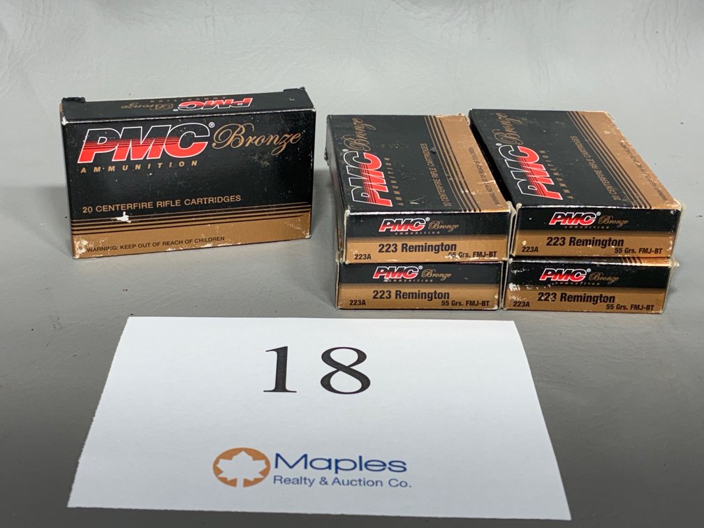 100x Rounds .223 Remington 55 Grain FMJ