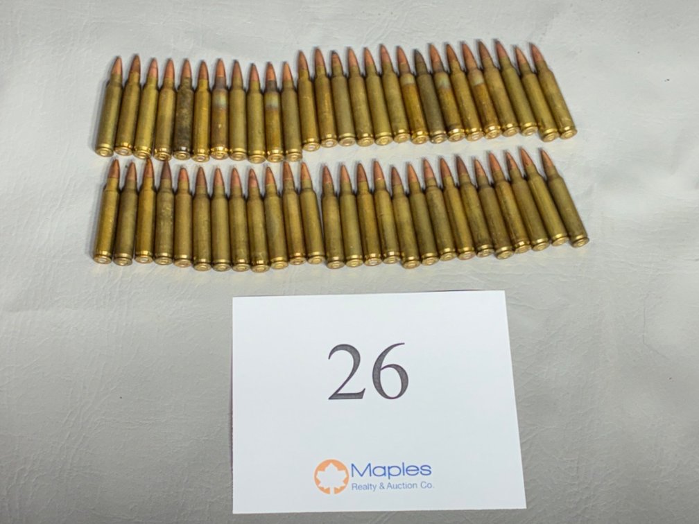 50x Rounds .223
