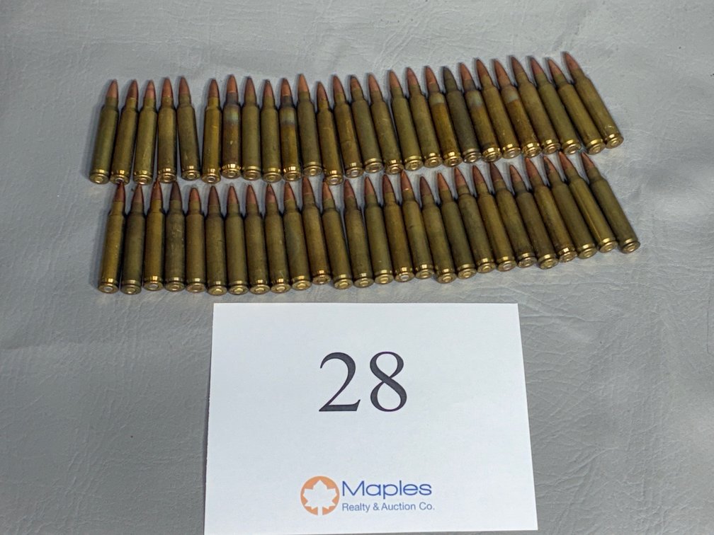 50x Rounds .223