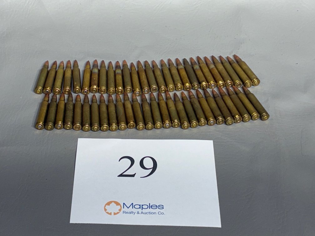 50x Rounds .223