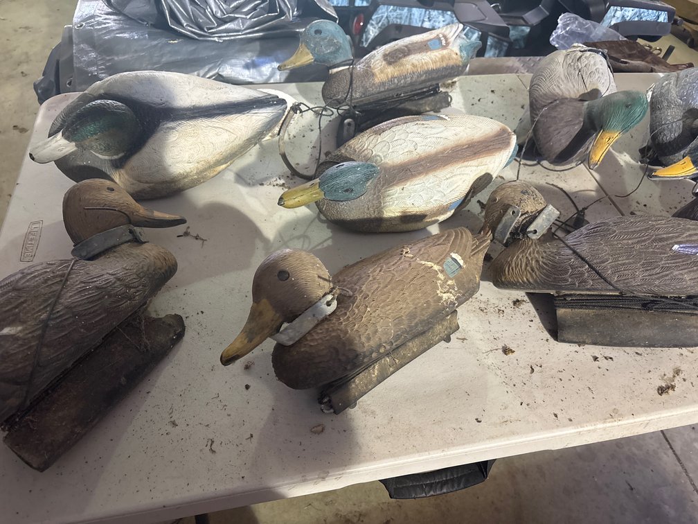 15 DUCK DECOYS