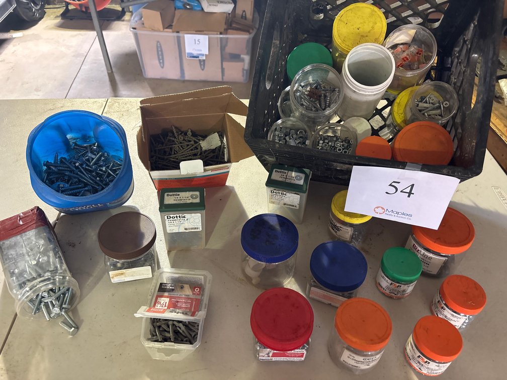 ASSORTED SCREWS AND FASTENERS