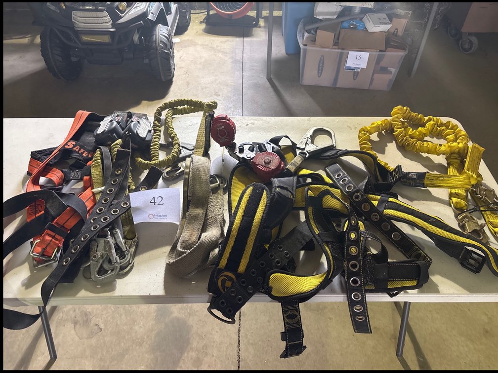 VARIOUS SAFETY HARNESSES