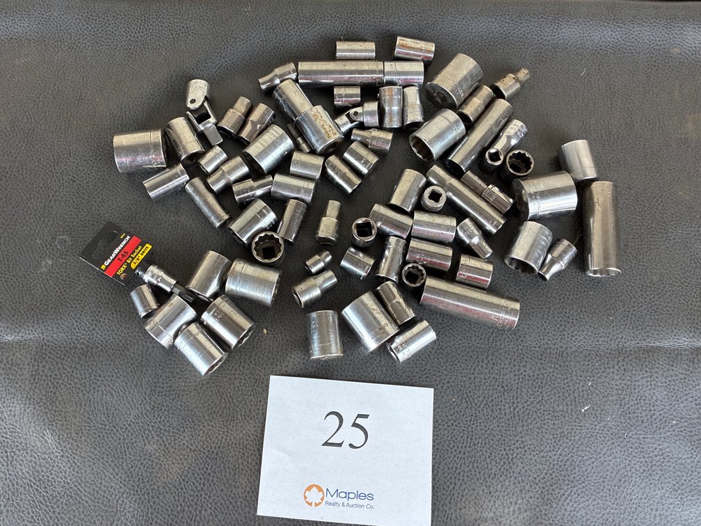 Variety if Craftsman Sockets