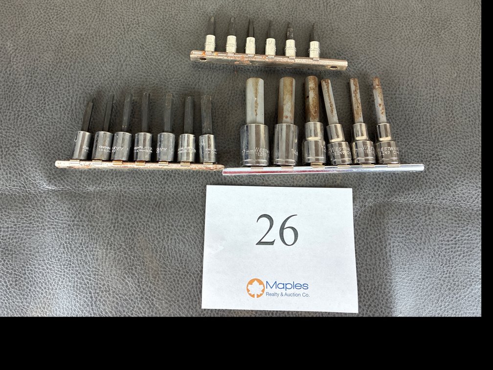 Drive Torx Bit Sockets