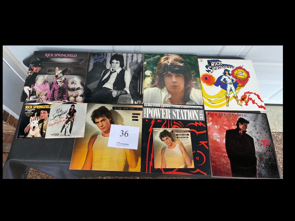Various Rick Springfield Records