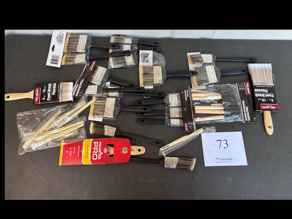 Large Lot of Paint Brushes