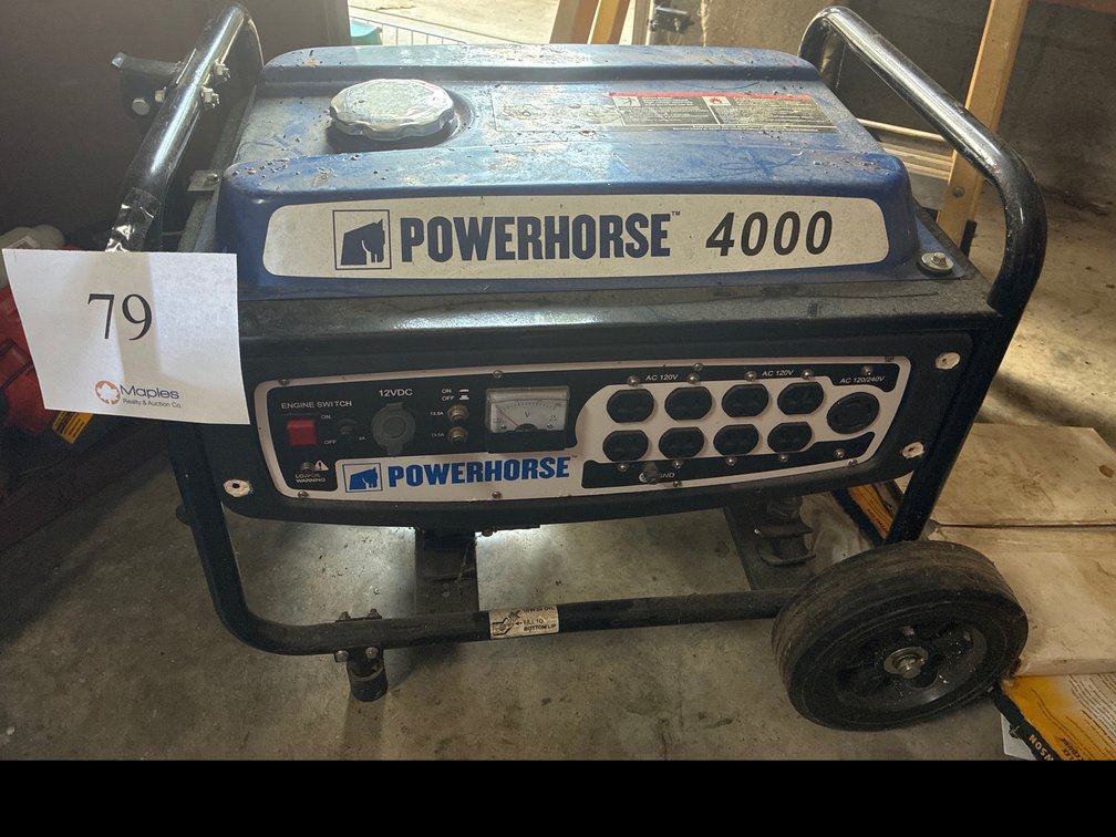 Powerhorse 4000 Generator