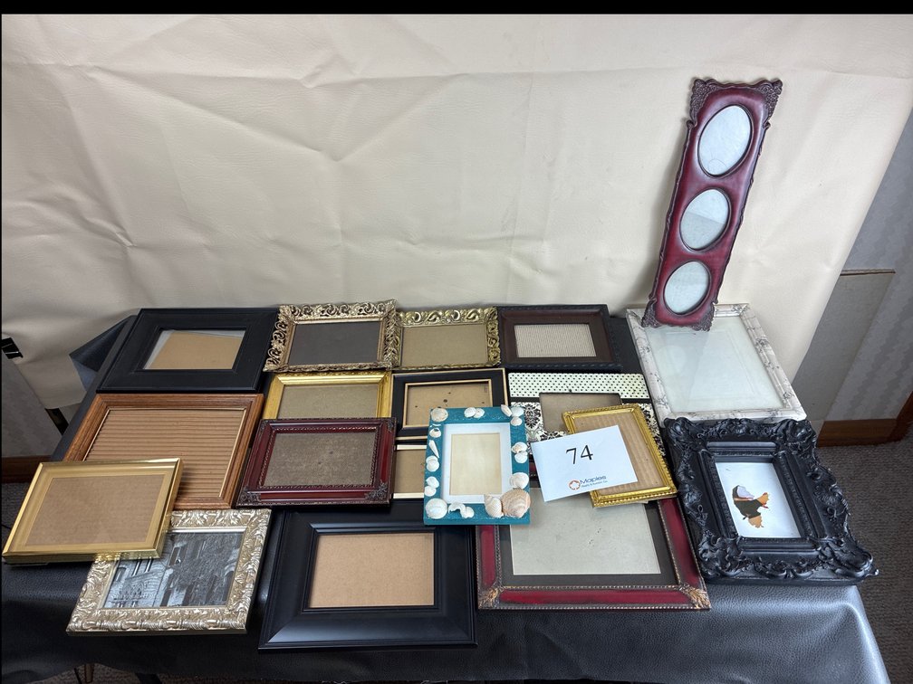 Large Lot of Decorative Picture Frames