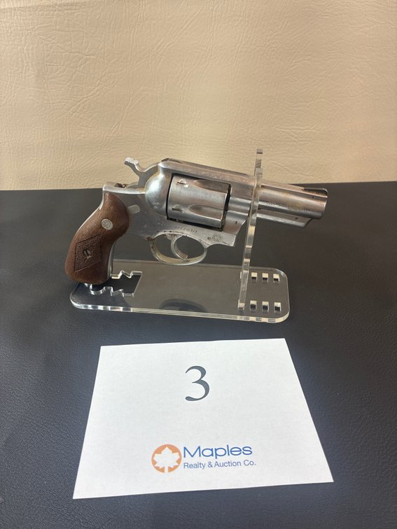 Ruger Speed/six .357 Magnum