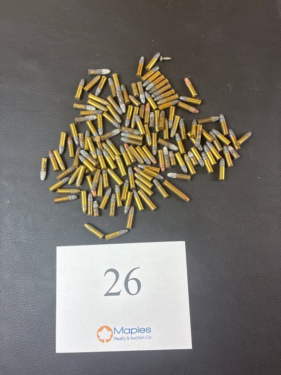 .22 Ammo