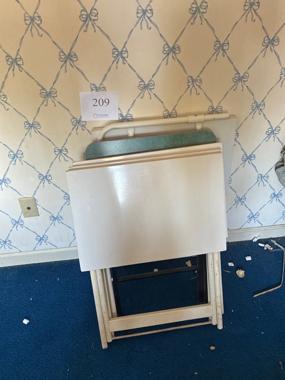 (4) Tv Trays