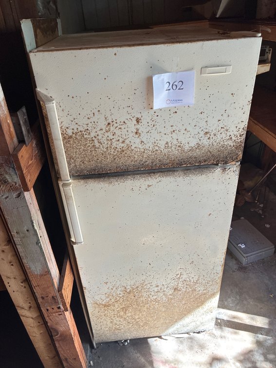 Outdoor Fridge/ Freezer