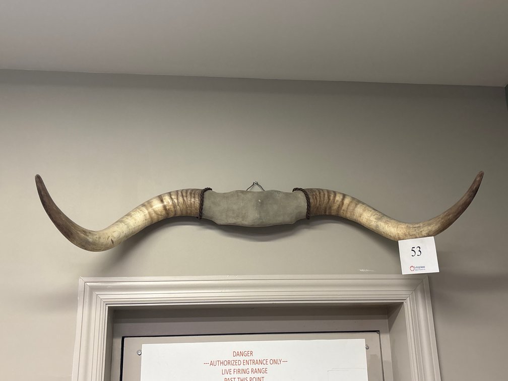 Longhorn Rack