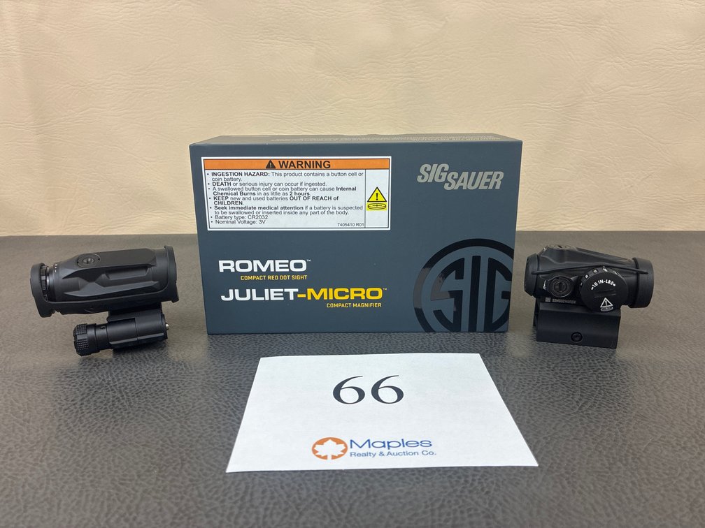 Sig Sauer Romeo, and Juliet- Micro Sights