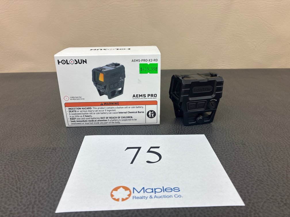 Holosun AEMS-PRO-X2-RD Sight