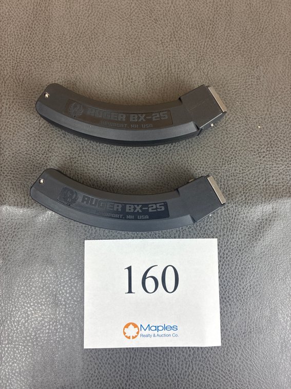 (2) Ruger 10/22 BX-25 Magazines