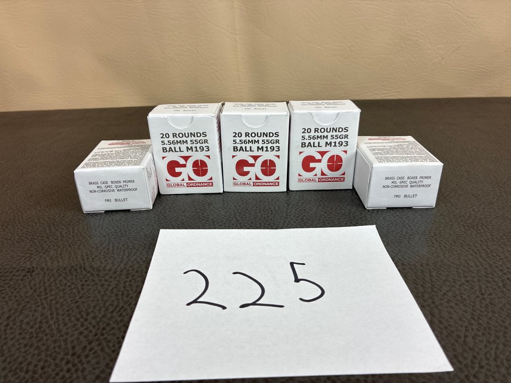 (100) Rounds 5.56x45