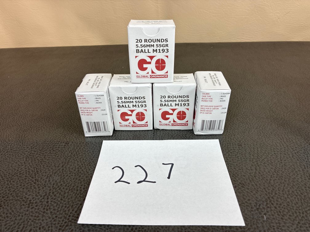 (100) Rounds 5.56x45