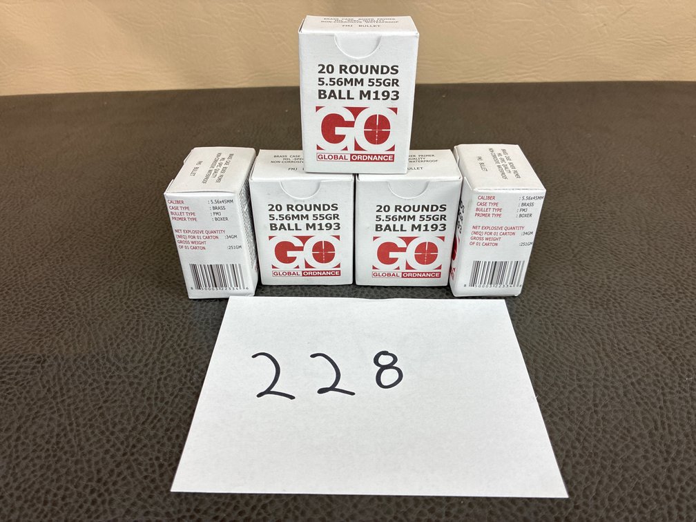 (100) Rounds 5.56x45