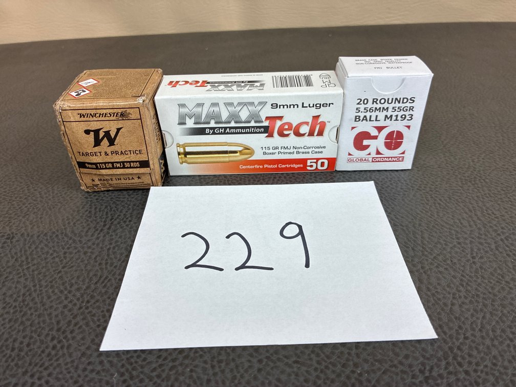 Assortment of Ammo