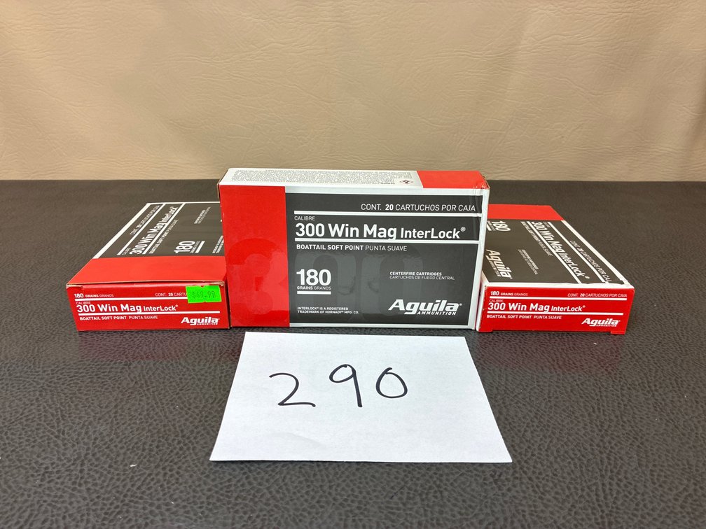 (60) Rounds 300 Win Mag