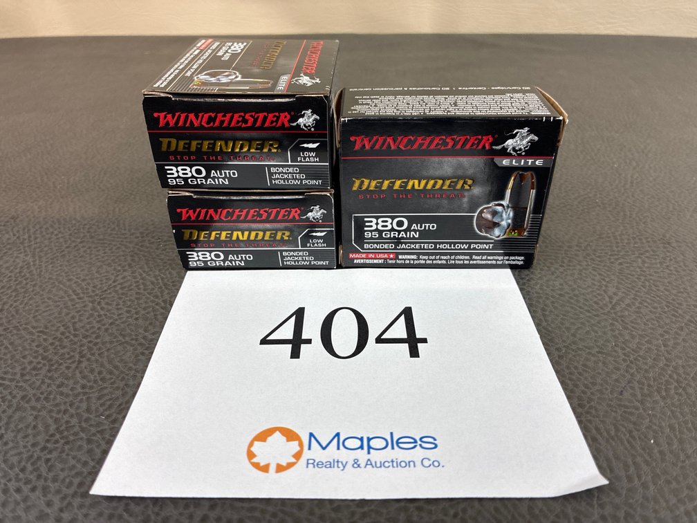 (80) Rounds 380 Auto