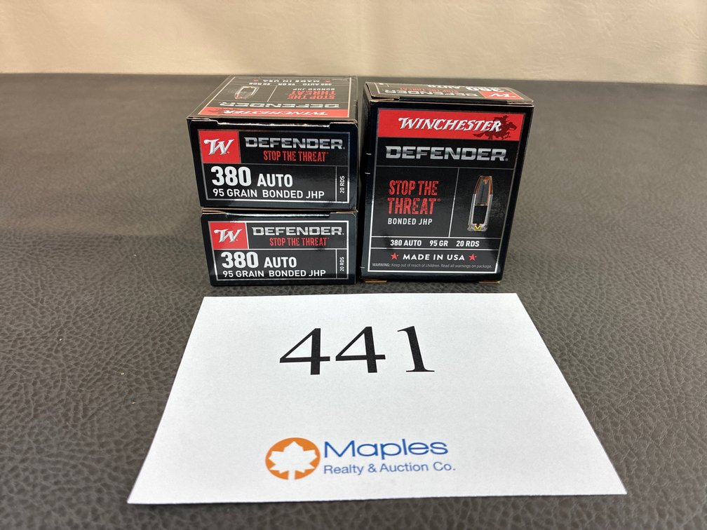 (60) Rounds 380 Auto
