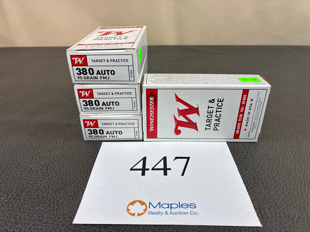 (200) Rounds 380 Auto