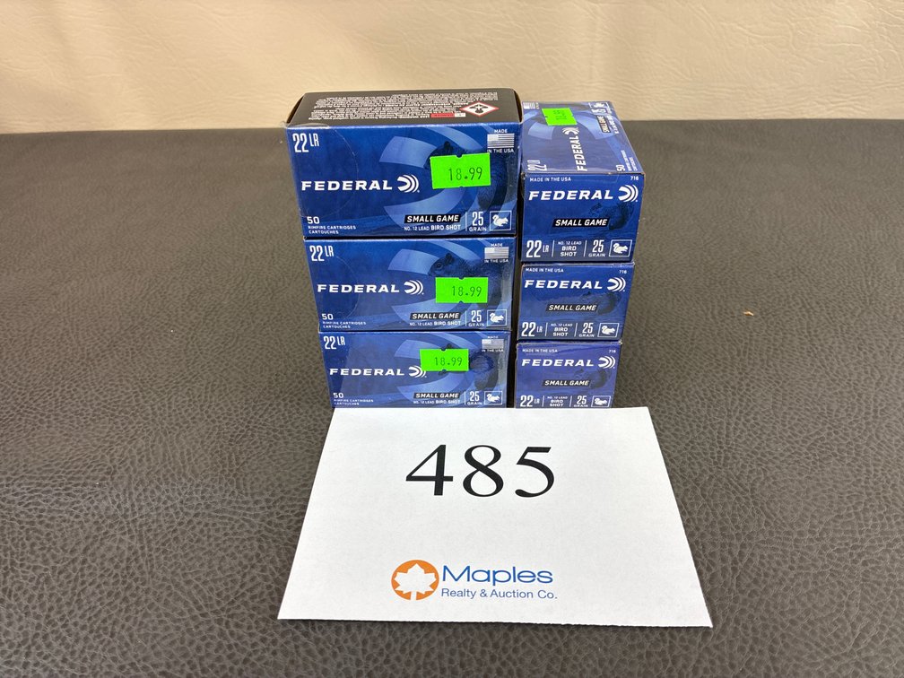 (300) Rounds 22 LR