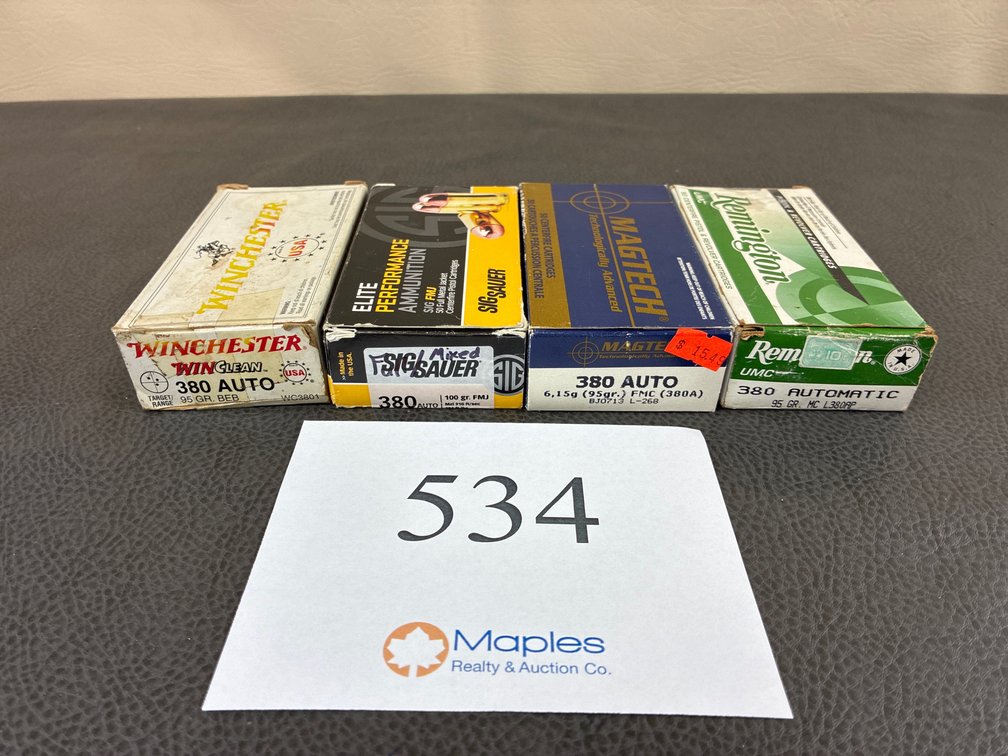 (200) Rounds of 380 Auto