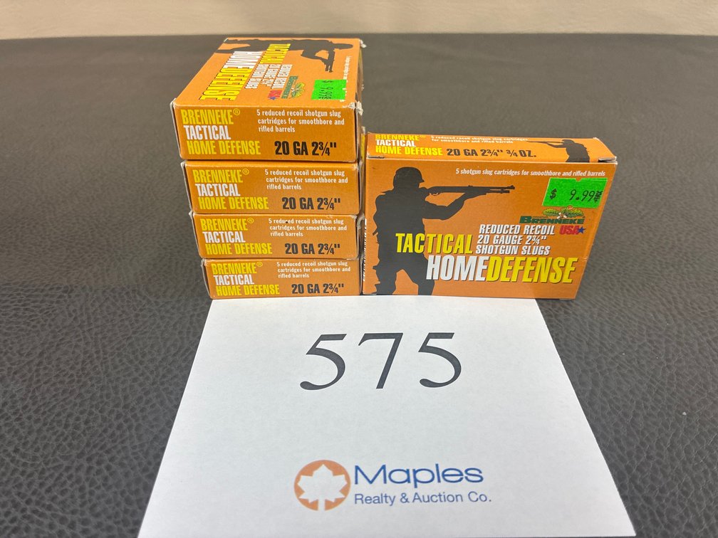 (25) Rounds 20 Gauge