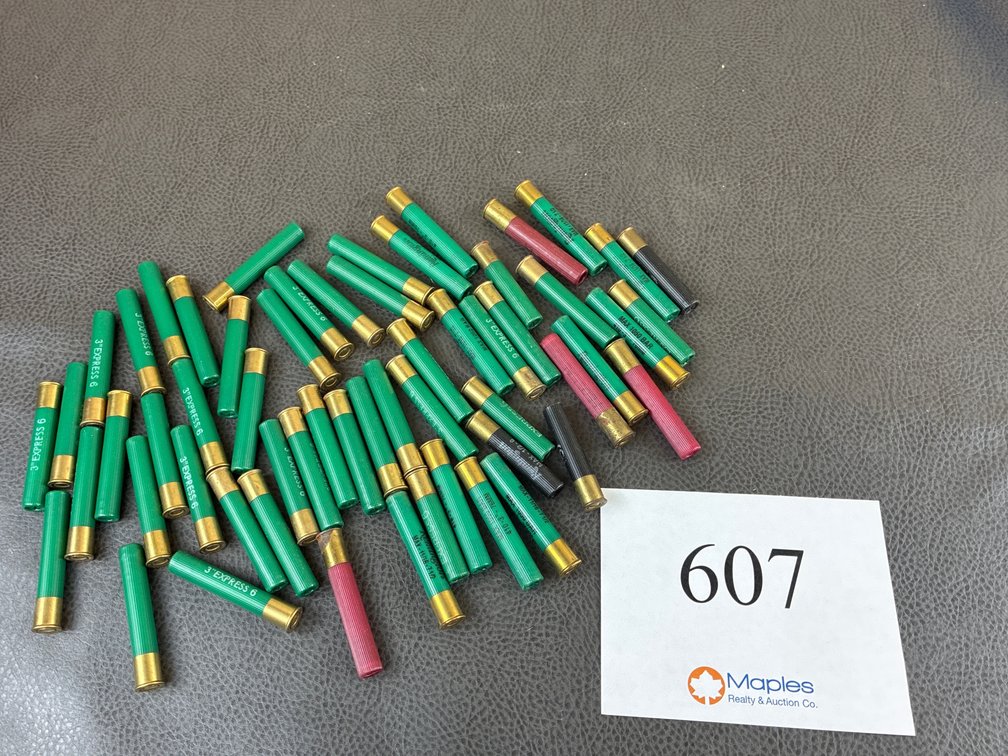 (58) Rounds of .410